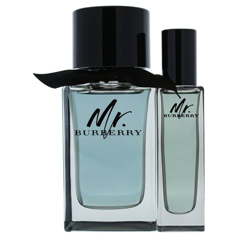 burberry cologne blue bottle|mr burberry for men.